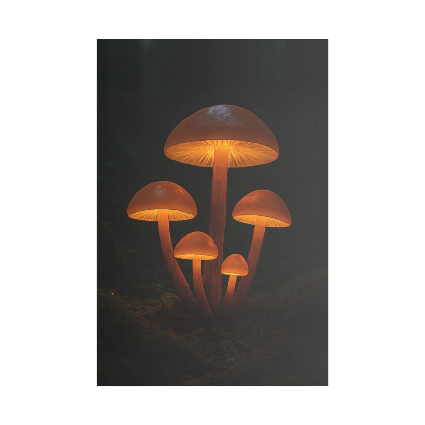 Illuminated Mushroom Art Canvas, Wall Decor, Nature Inspired, Cozy Home Art, Gifts for Nature Lovers, Unique Wall Hanging
